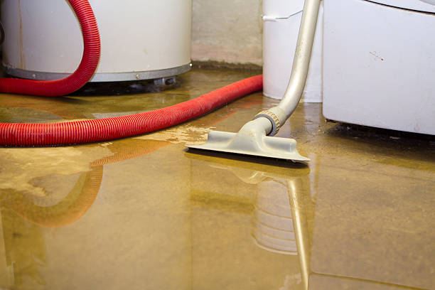 Best Commercial Water Damage Restoration in Indian Head Park, IL