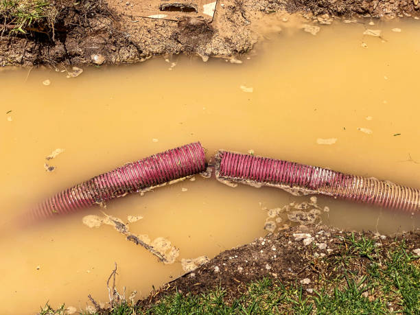 Professional Water damage restoration in Indian Head Park, IL